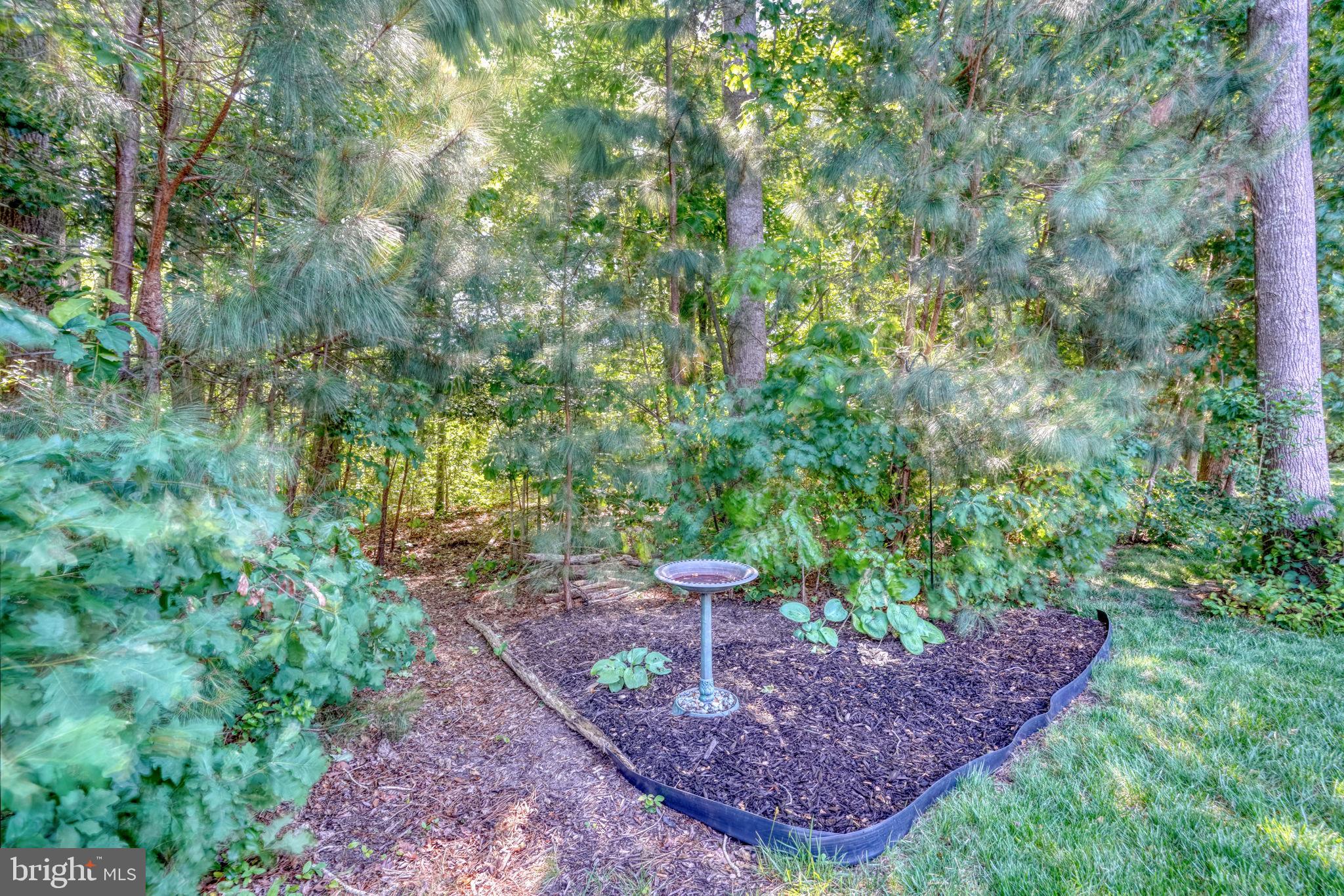 37180 Sheepscot Road Lewes, DE 19958 - Photo 3 of 66 Incredible backyard abutting the nature trail