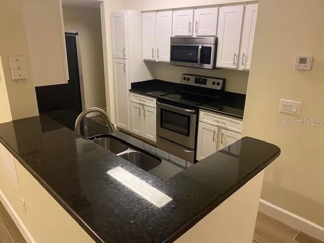 a kitchen with stainless steel appliances granite countertop a stove a sink and a microwave