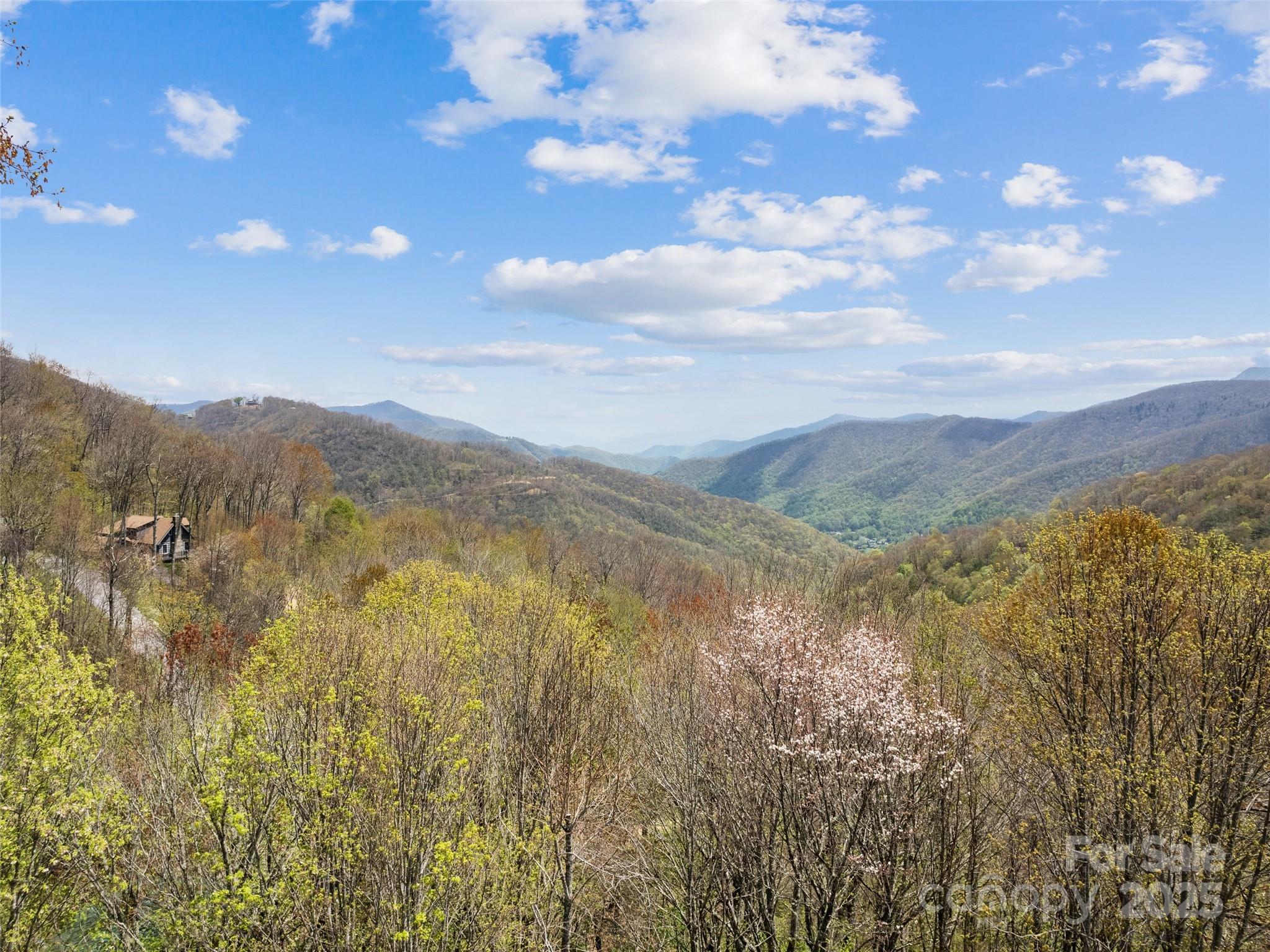 16 Sutton Knob Road Maggie Valley, NC 28751 - Photo 7 of 40 Gallery Image 7