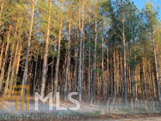 0 Sheppard Road Sandersville, GA 31082 - Photo 1 of 1 Gallery Image 1