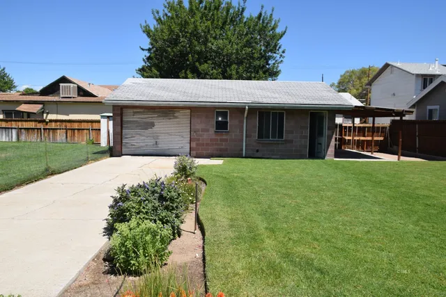 a view of a backyard with plants
