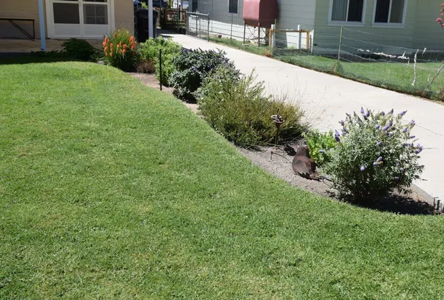 a view of a house with potted plants