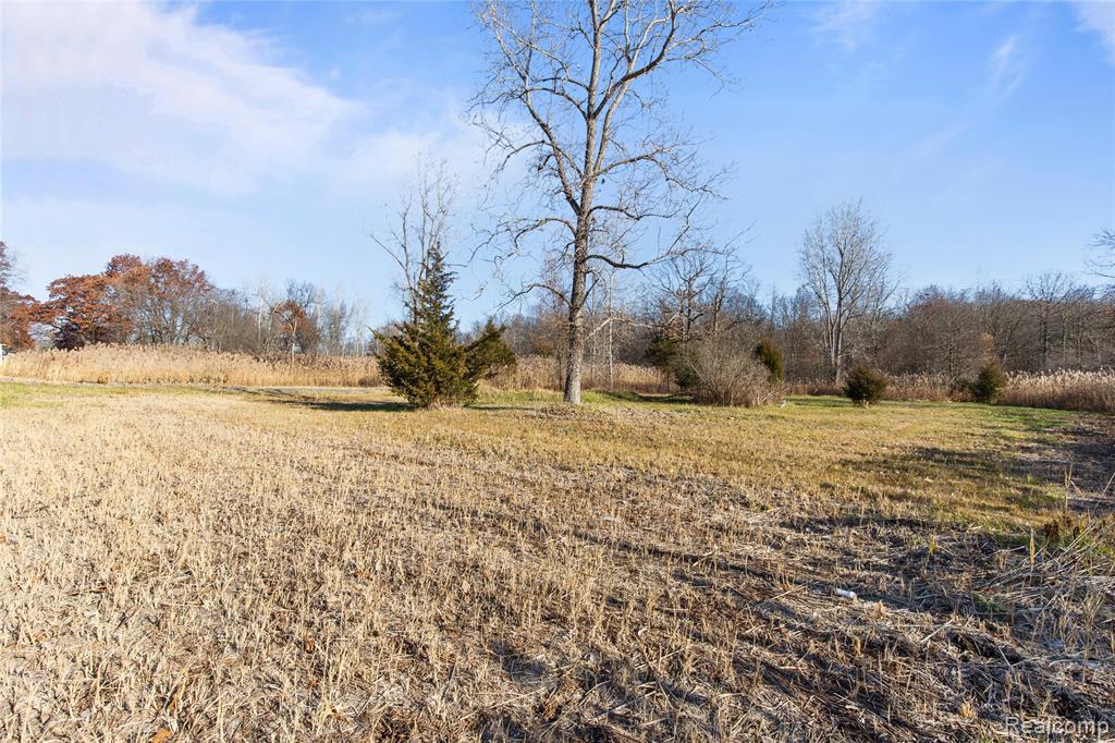 23901 Sumpter Road Belleville, MI 48111 - Photo 13 of 15