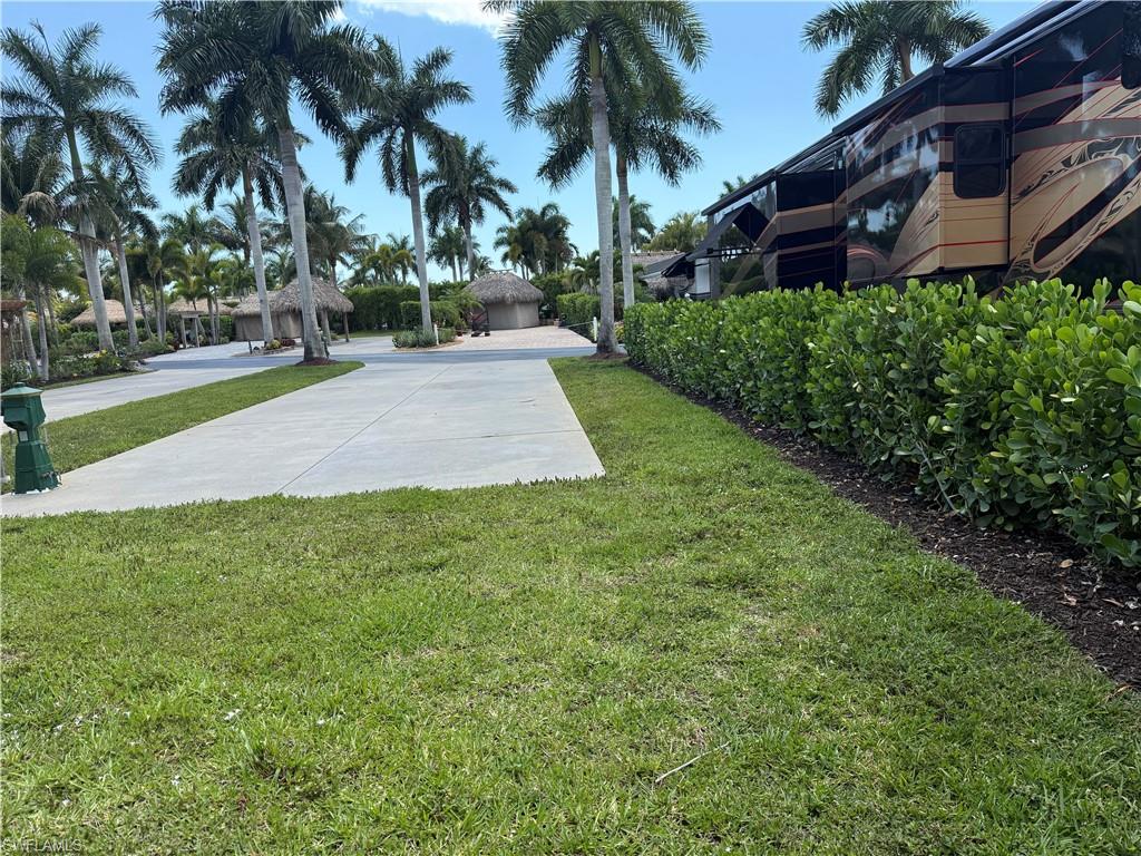 13594 Snapper Lane Naples, FL 34114 - Photo 7 of 29 a view of a yard and palm trees