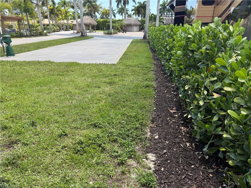 13594 Snapper Lane Naples, FL 34114 - Photo 9 of 29 a view of a yard with plants and trees