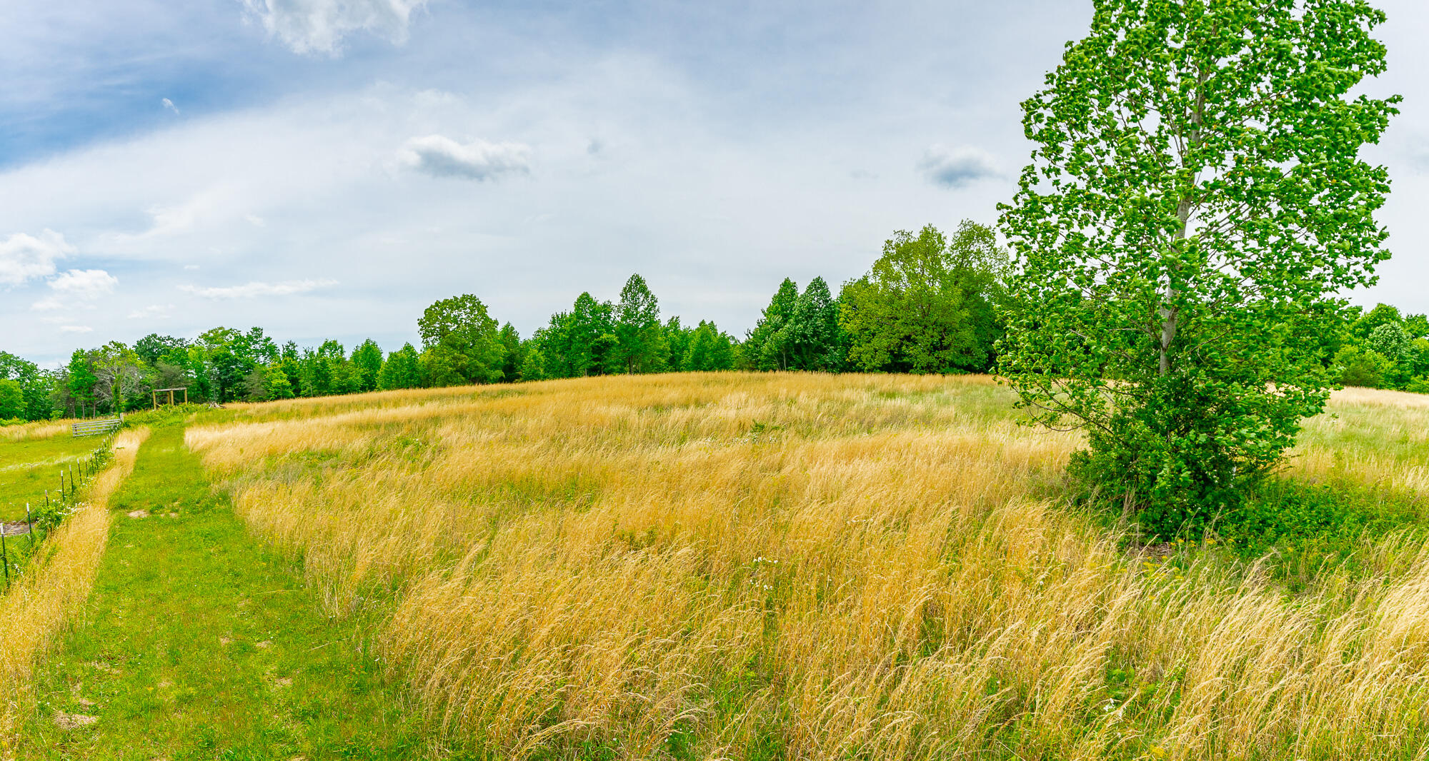 0 Ray Gadd Road Graysville, TN 37338 - Photo 45 of 109 Ray Gadd Road Lot HD-37
