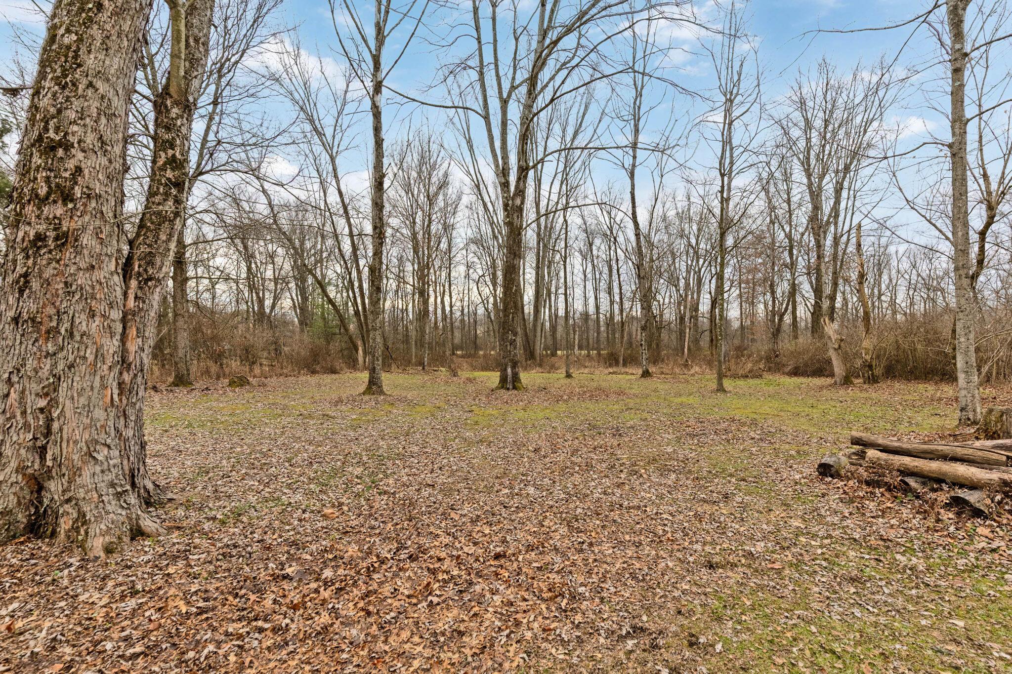 4134 Harlem Road Galena, OH 43021 - Photo 44 of 58 Backyard