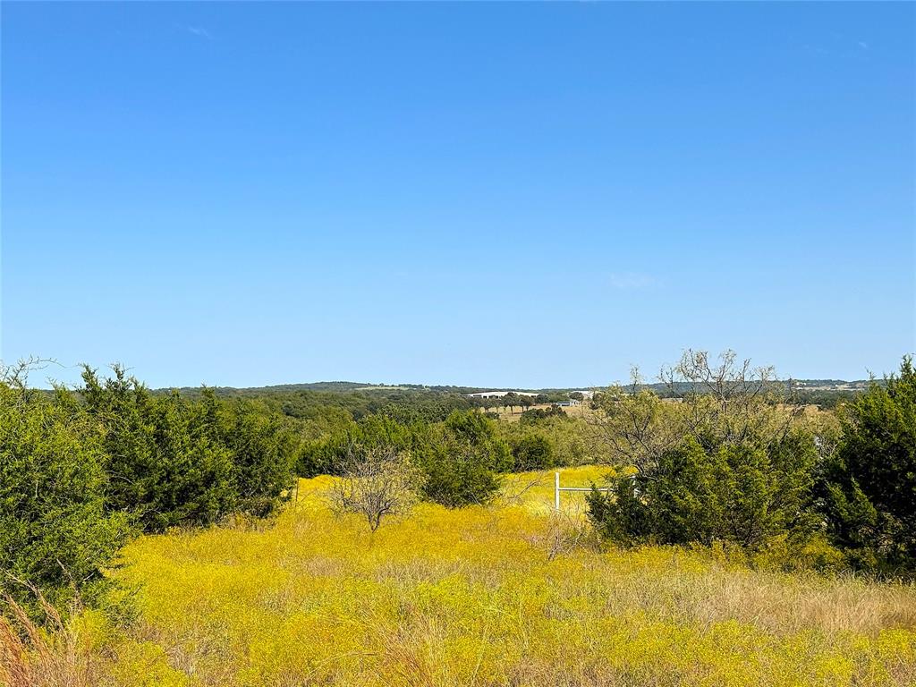 Tbd Ballard Road Weatherford, TX 76088 - Photo 13 of 30