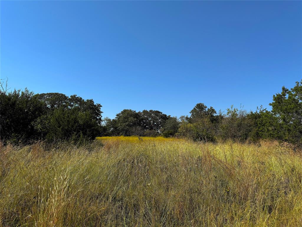 Tbd Ballard Road Weatherford, TX 76088 - Photo 17 of 30 a view of lake and green space