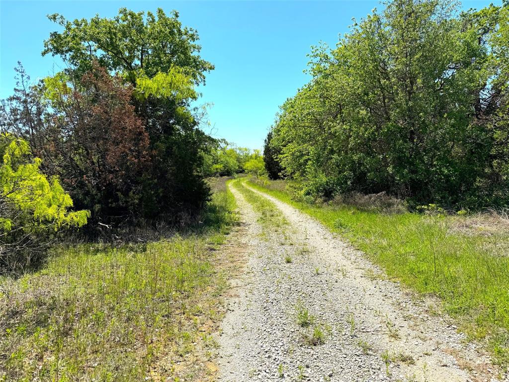 Tbd Ballard Road Weatherford, TX 76088 - Photo 18 of 30 a view of backyard with green space