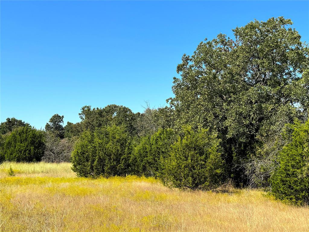 Tbd Ballard Road Weatherford, TX 76088 - Photo 2 of 30 a view of a lake view