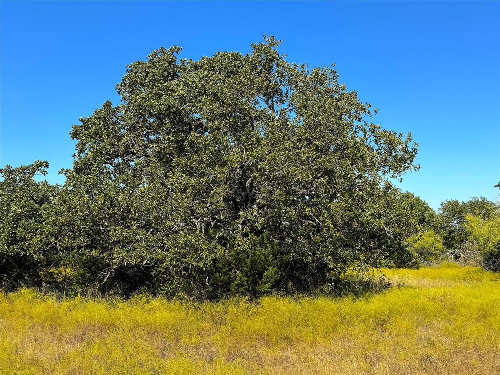 Tbd Ballard Road Weatherford, TX 76088 - Photo 23 of 30 a view of a lake view