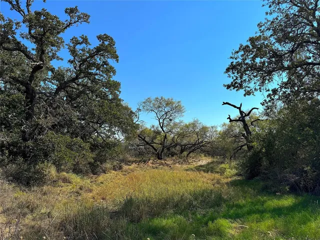 a view of a swimming pool and trees in the background