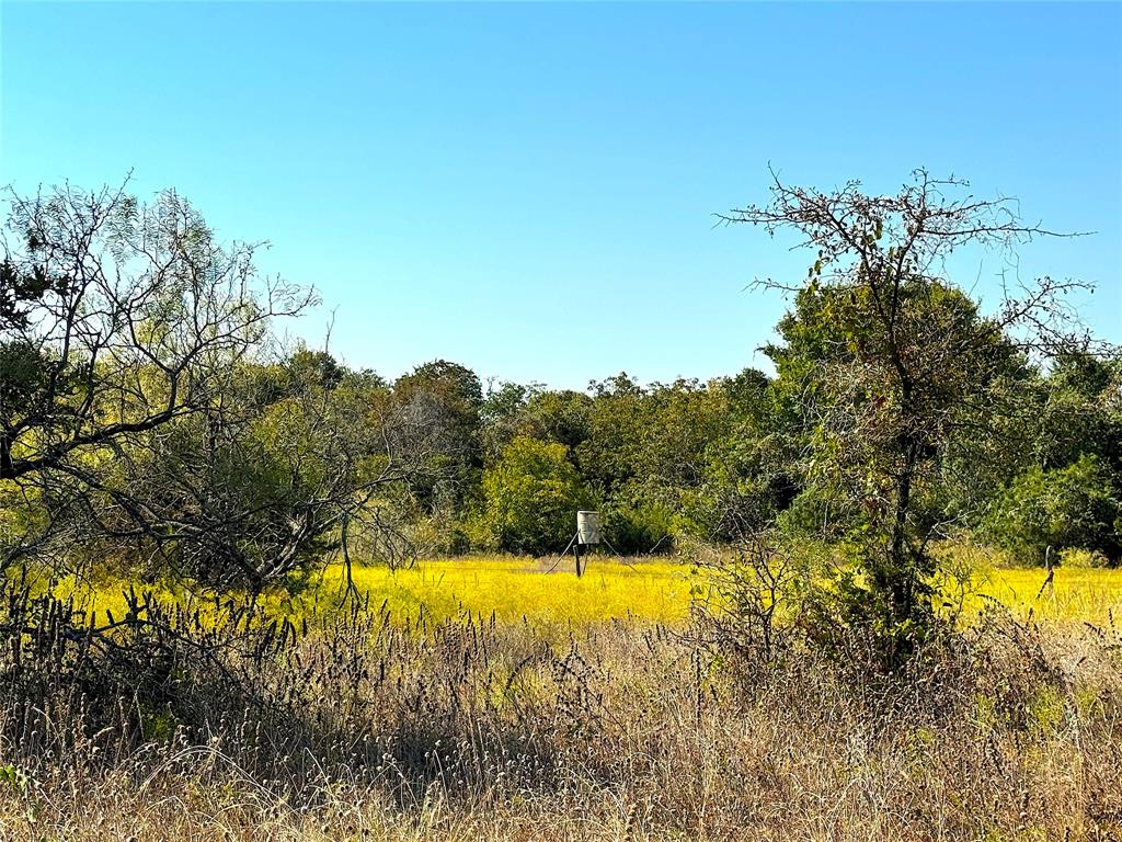 Tbd Ballard Road Weatherford, TX 76088 - Photo 27 of 30 a view of a swimming pool and trees in the background