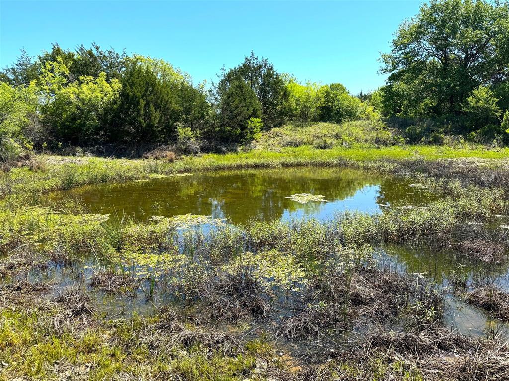Tbd Ballard Road Weatherford, TX 76088 - Photo 4 of 30 a view of a lake with a yard