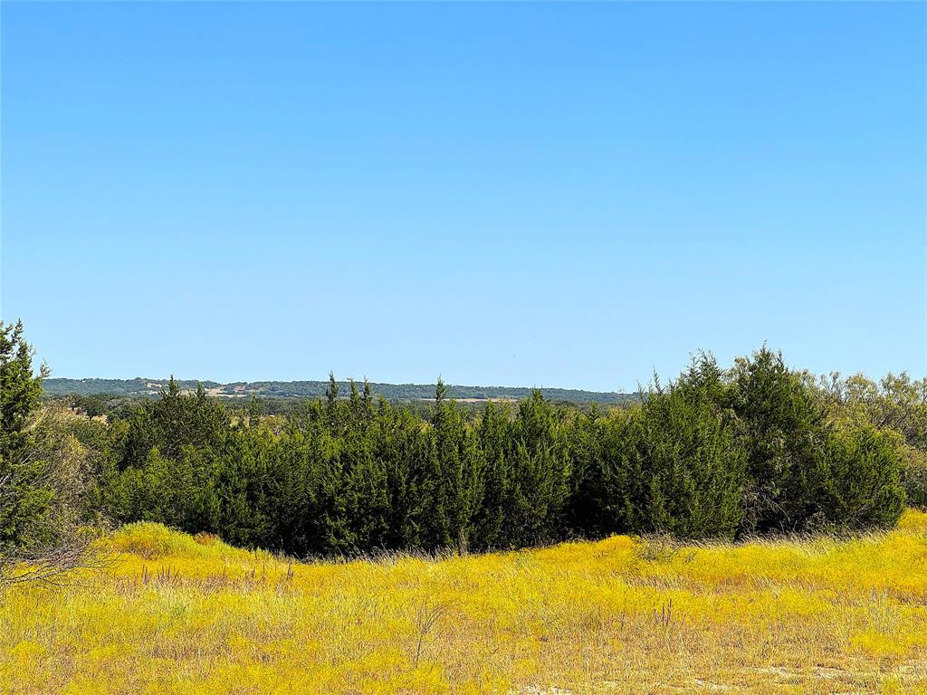 Tbd Ballard Road Weatherford, TX 76088 - Photo 5 of 30 a view of a lake with a yard