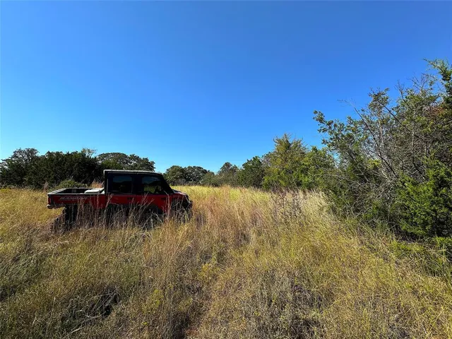 a view of yard with large trees