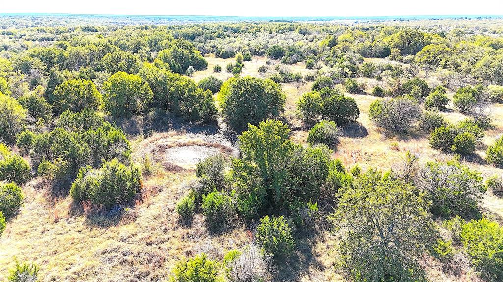 Tbd Ballard Road Weatherford, TX 76088 - Photo 8 of 30 a view of a forest with a tree