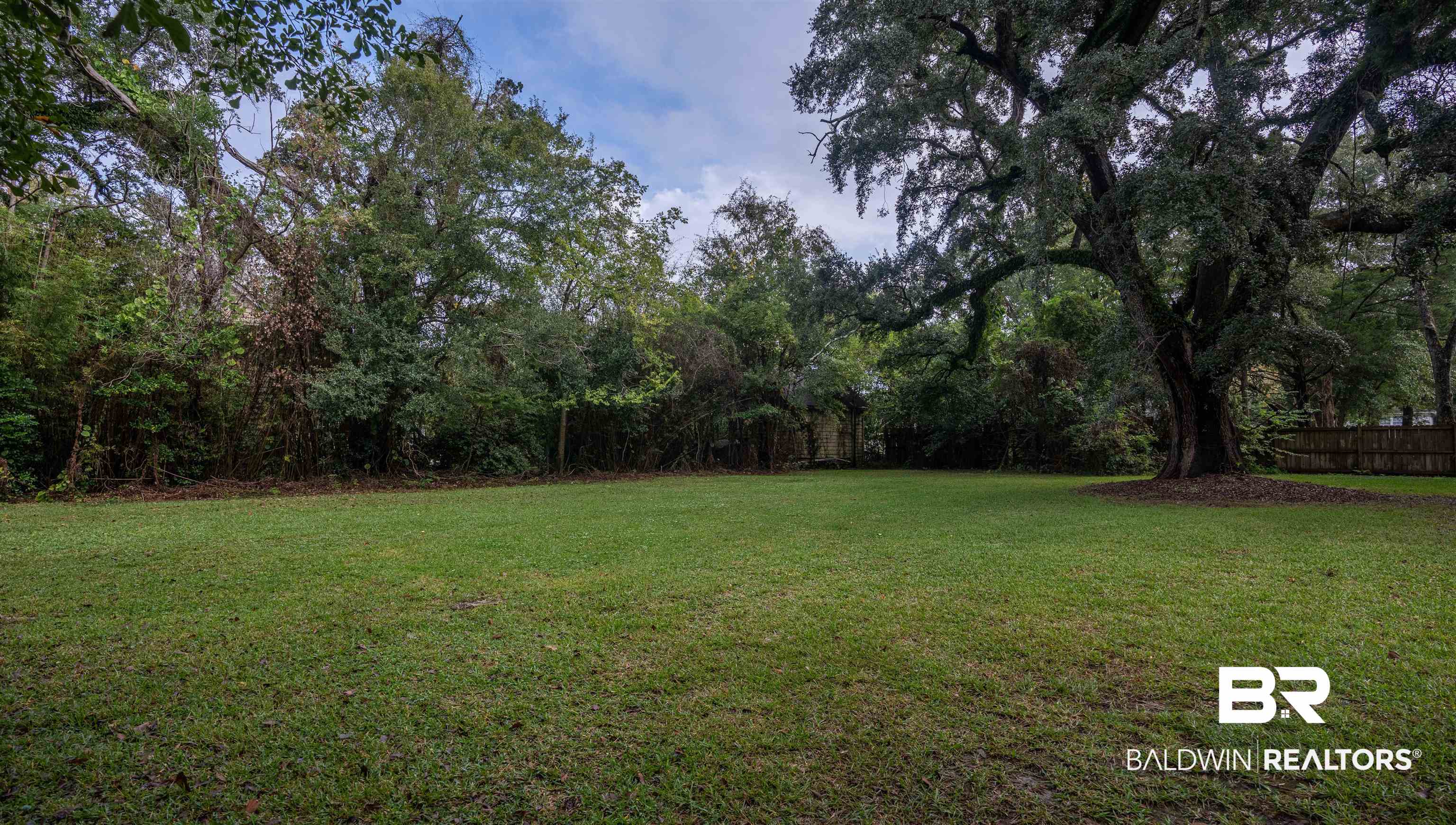 113 Houston Street Mobile, AL 36606 - Photo 15 of 15 View of yard