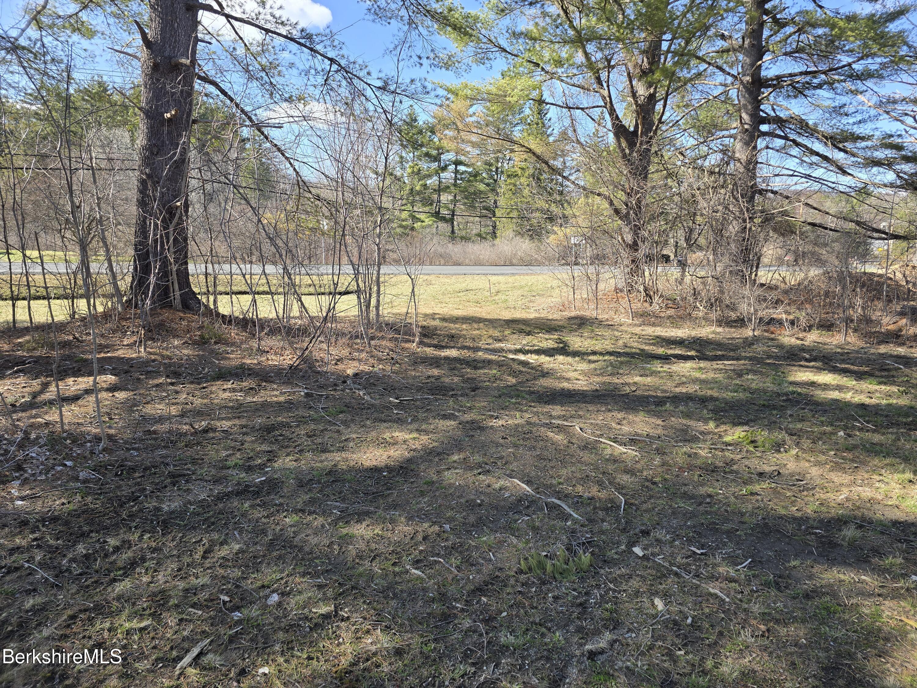 1460 Cold Spring Road Williamstown, MA 01267 - Photo 5 of 7 a view of a yard with large trees