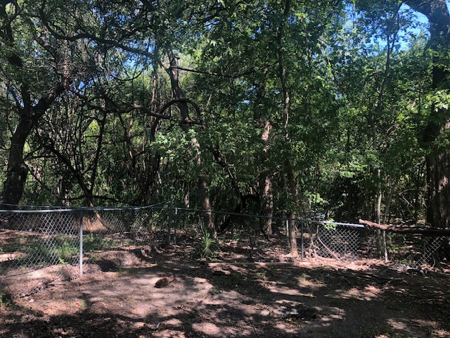 404 West Dittmar Road Austin, TX 78745 - Photo 14 of 15 a backyard of a house with lots of green space