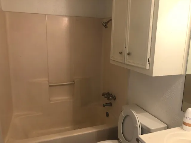 a bathroom with a toilet and a bathtub