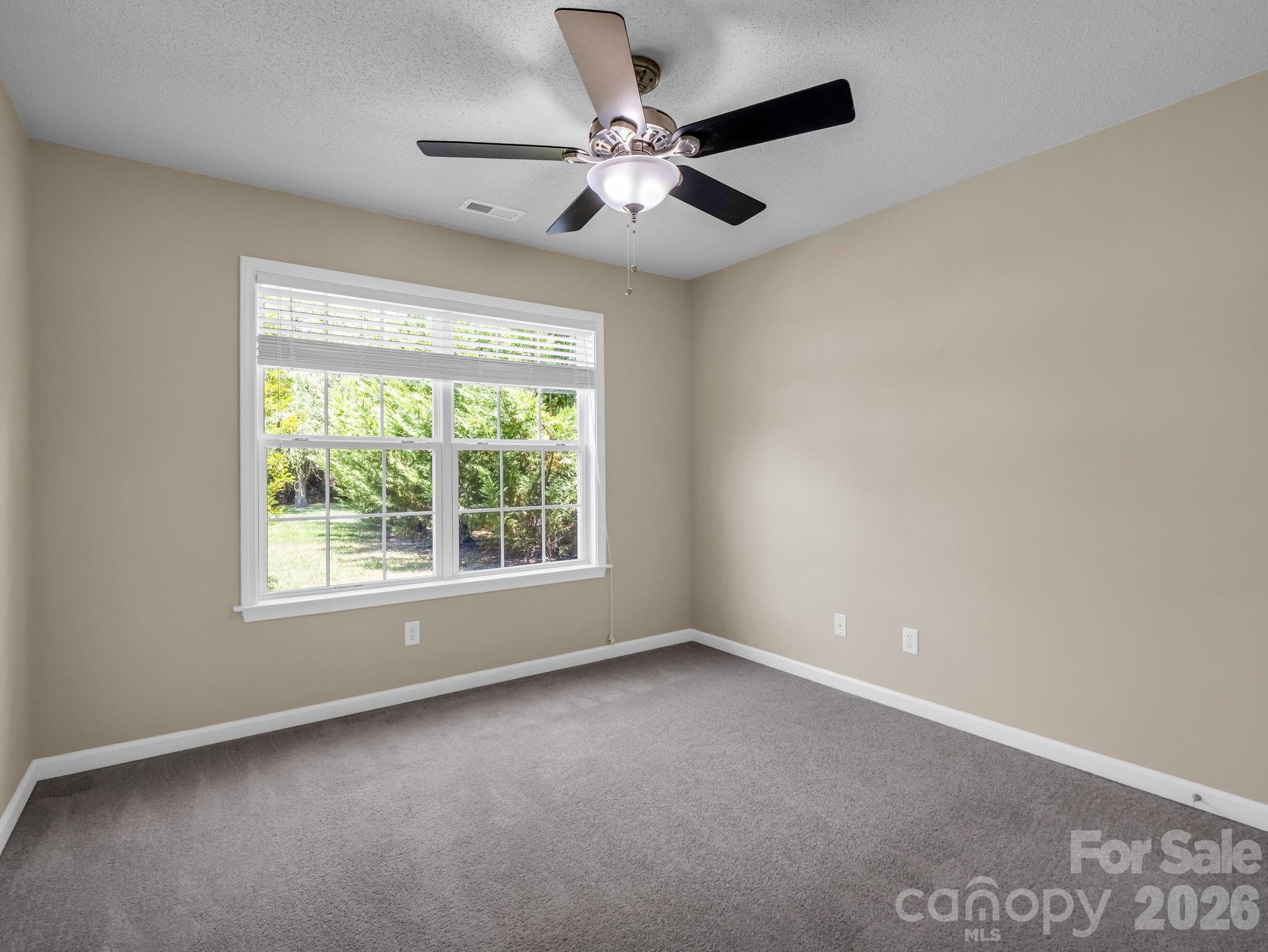 38 Black River Road Fletcher, NC 28732 - Photo 25 of 34