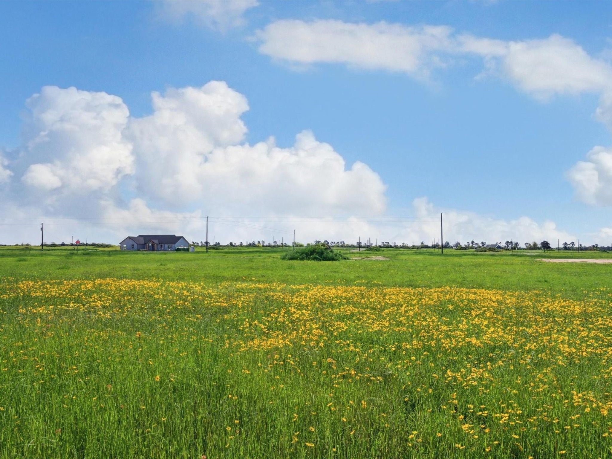 Lot 20 Rolling Hill Drive Cat Spring, TX 78933 - Photo 8 of 23