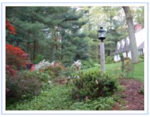 43 Robert Best Road Sudbury, MA 01776 - Photo 2 of 3 Gallery Image 2