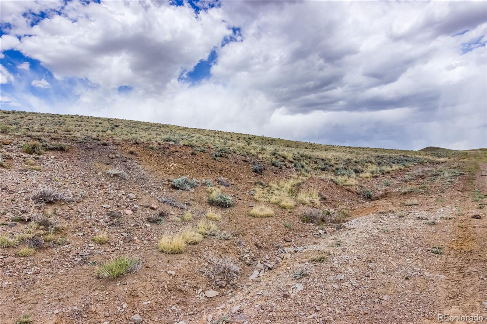 151 Black Beaver Road Hartsel, CO 80449 - Photo 25 of 30