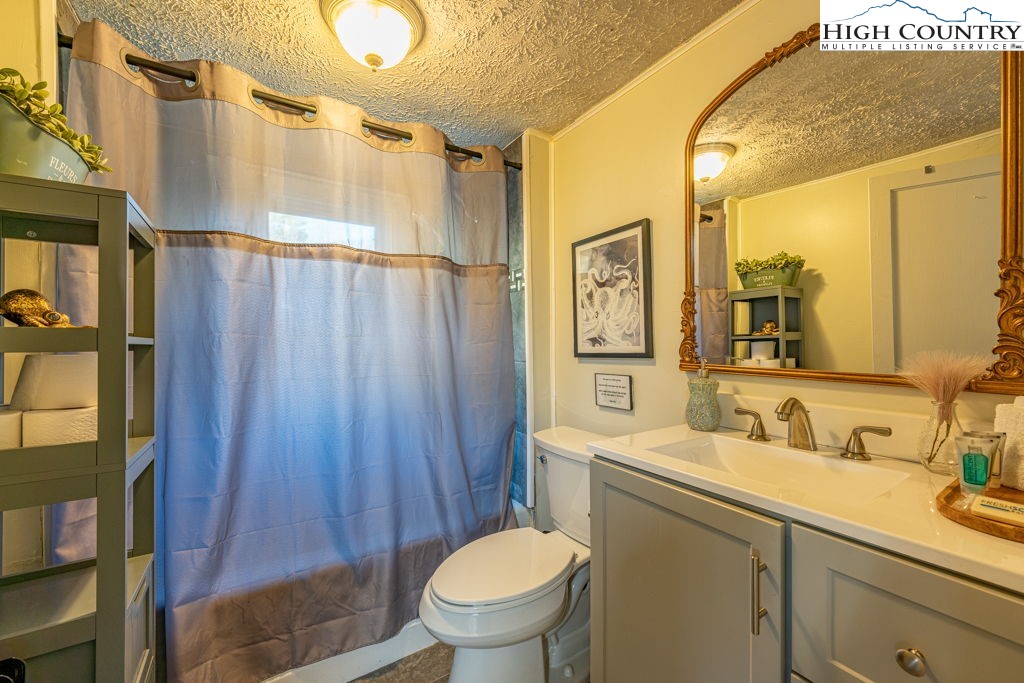 40 Painter Road Banner Elk, NC 28604 - Photo 20 of 45 a bathroom with a sink a toilet and shower