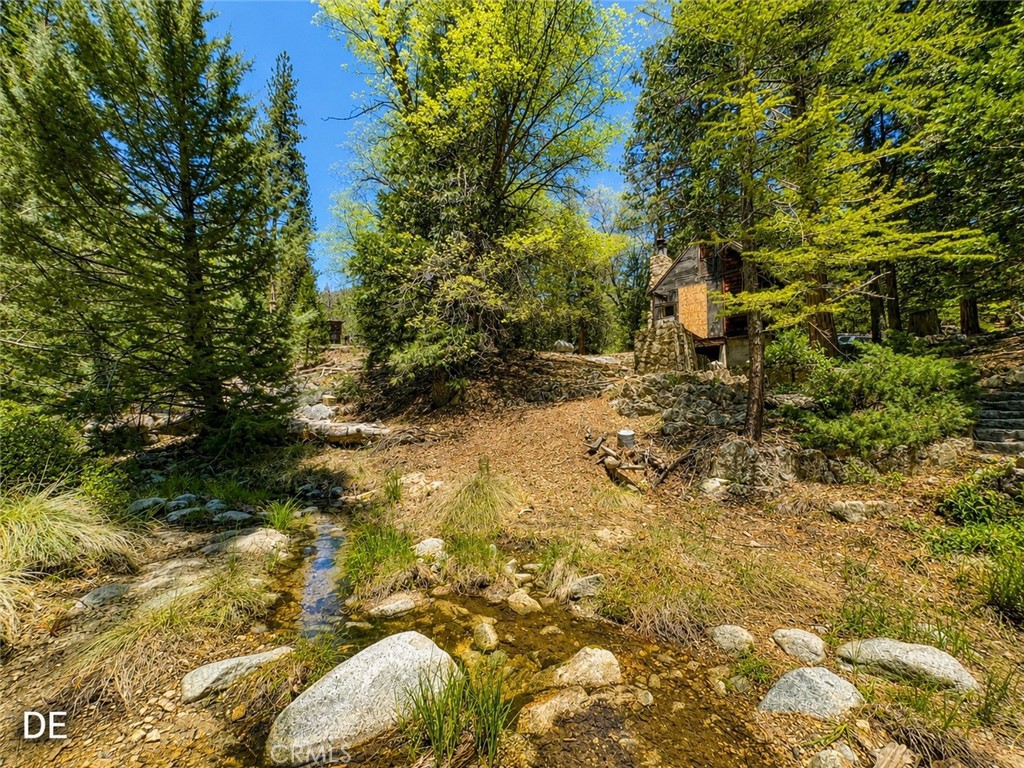 52915 Forest Rte 4S02 Idyllwild, CA 92549 - Photo 22 of 30