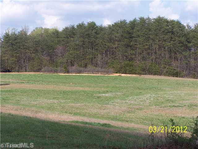 133 Bullins Road Madison, NC 27025 - Photo 3 of 15 Land.