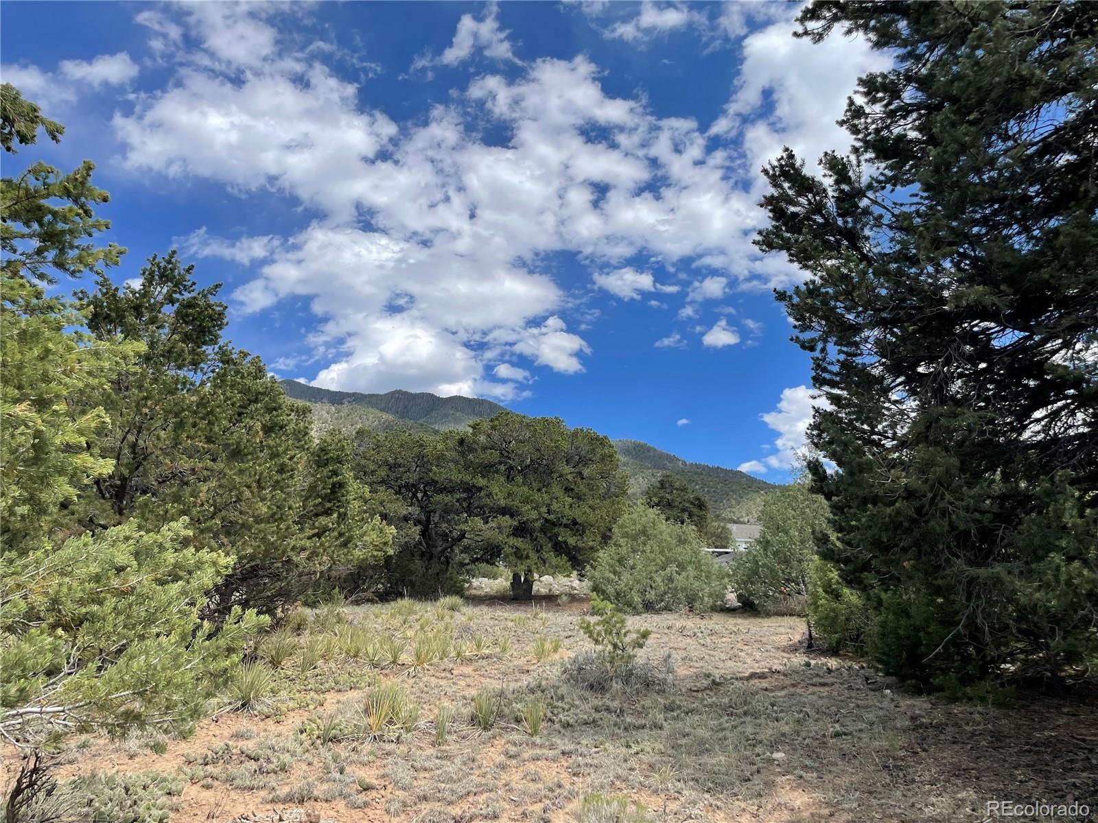 4303 Fallen Tree Way Crestone, CO 81131 - Photo 4 of 19