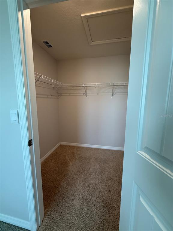 13251 Pontoon Road Winter Garden, FL 34787 - Photo 13 of 24 a view of an empty walk in closet