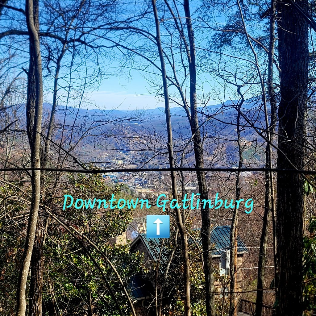 17 Zurich Road Gatlinburg, TN 37738 - Photo 3 of 24