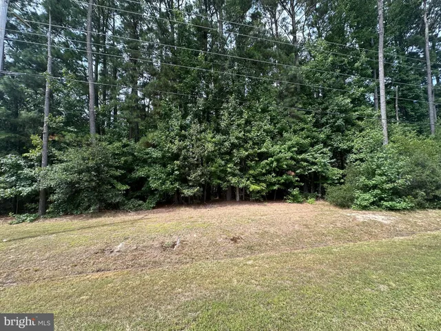 a view of a backyard of the house