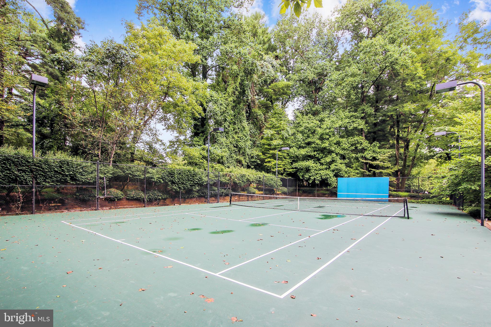 8723 Persimmon Tree Road Potomac, MD 20854 - Photo 43 of 81