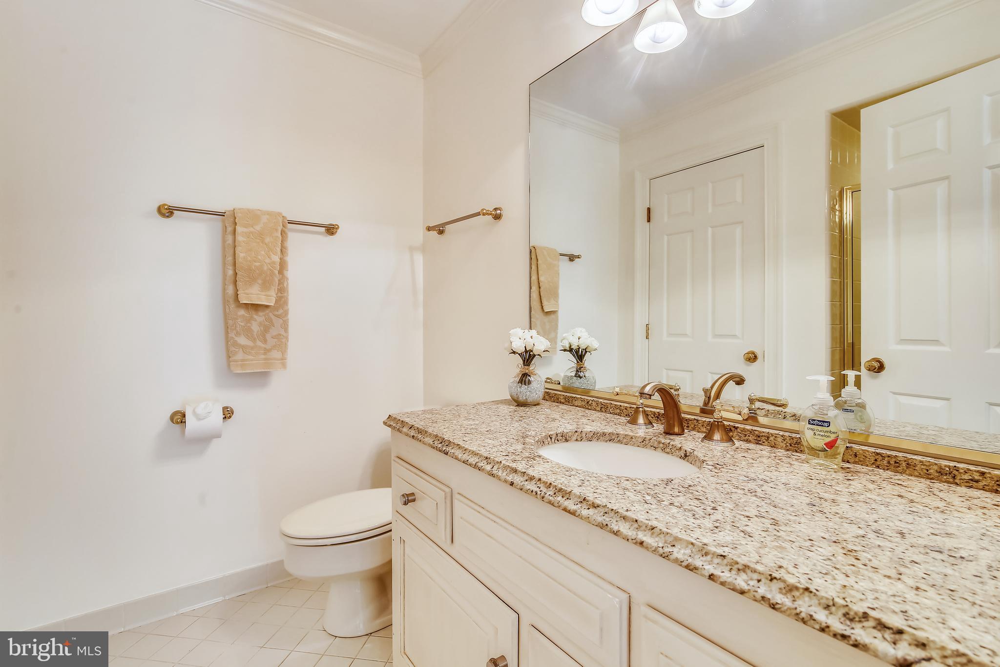 8723 Persimmon Tree Road Potomac, MD 20854 - Photo 58 of 81