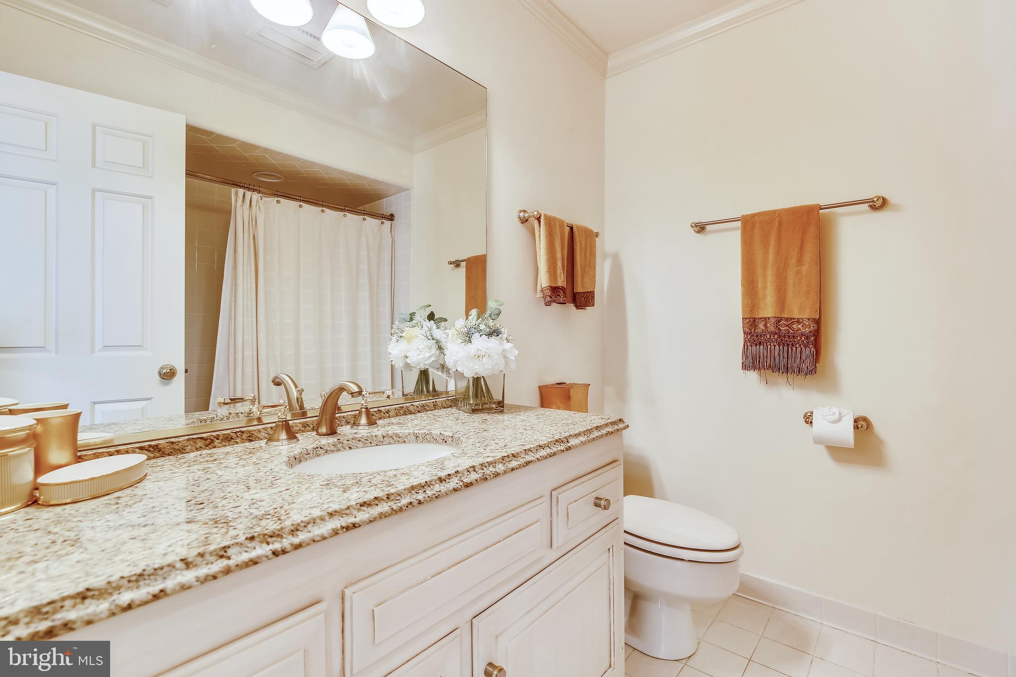 8723 Persimmon Tree Road Potomac, MD 20854 - Photo 59 of 81