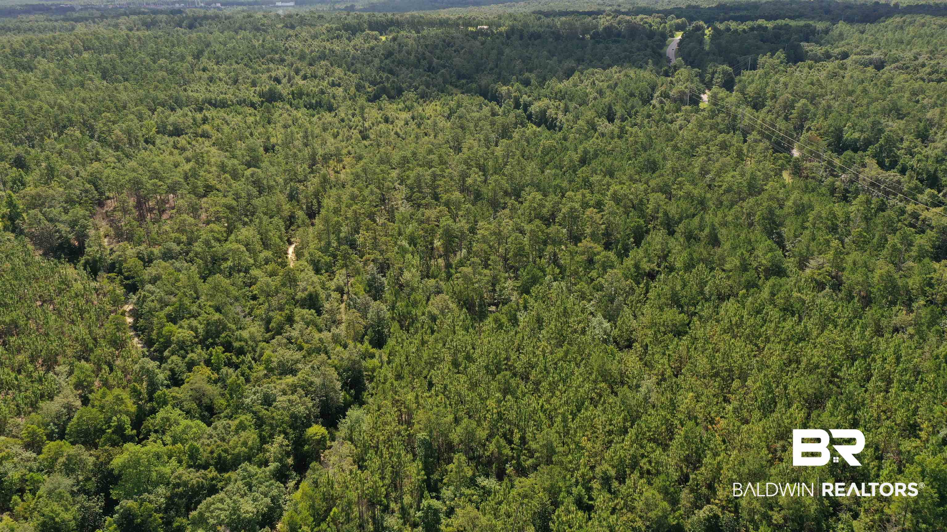 1 Highway 4 Jay, FL 32565 - Photo 48 of 50