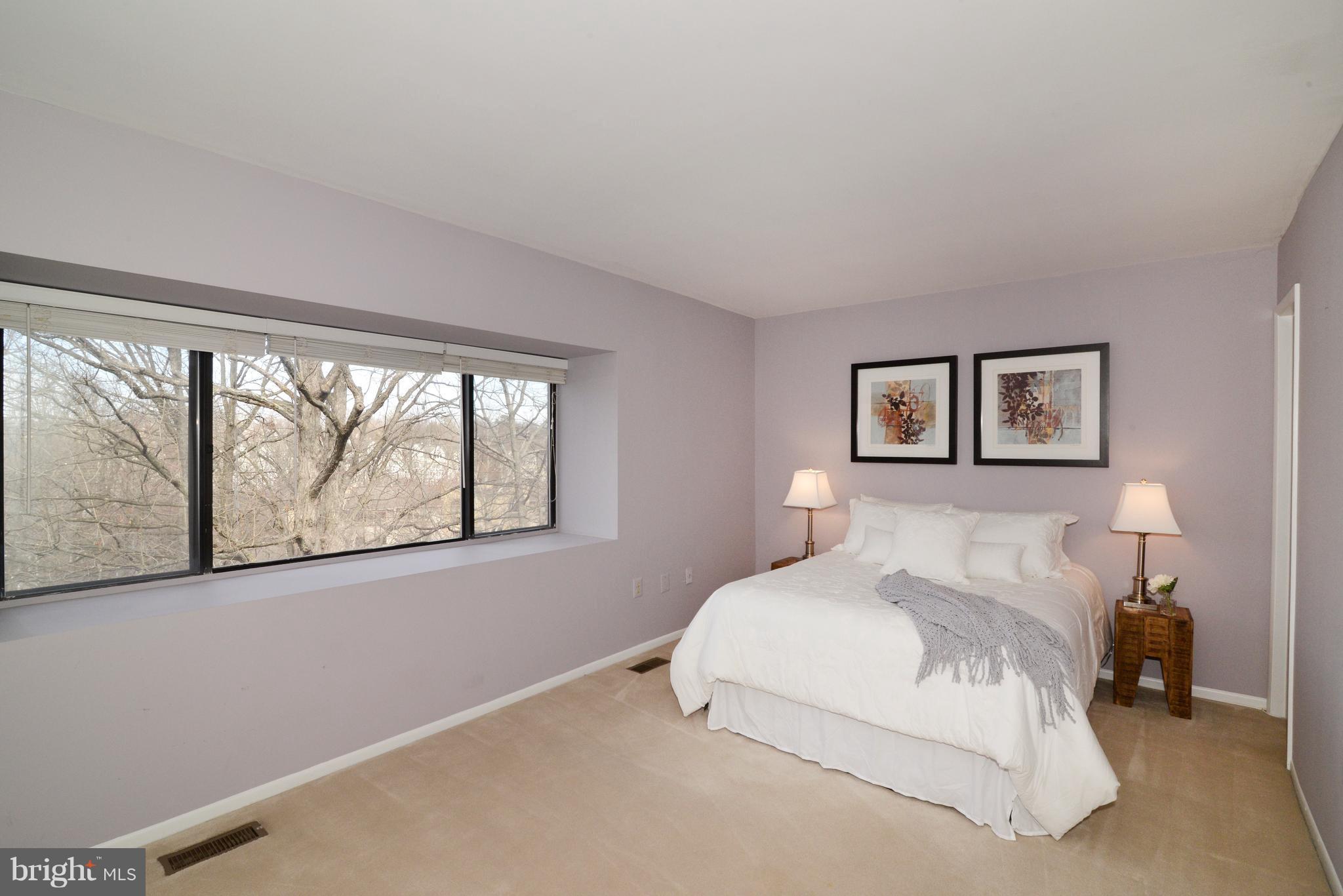 11230 Beaver Trail Court, Unit 4 Reston, VA 20191 - Photo 11 of 22 The owner's suite has terrific views.