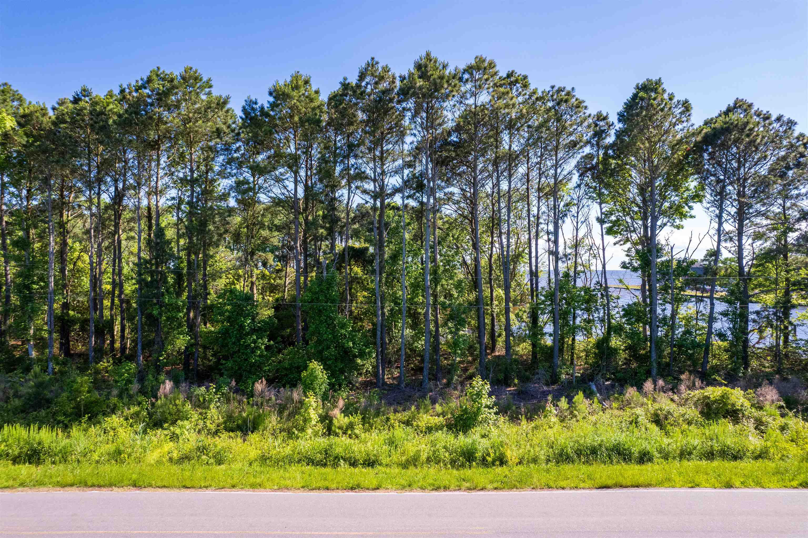 271 Sailboat Road Shiloh, NC 27974 - Photo 5 of 20 Gallery Image 5