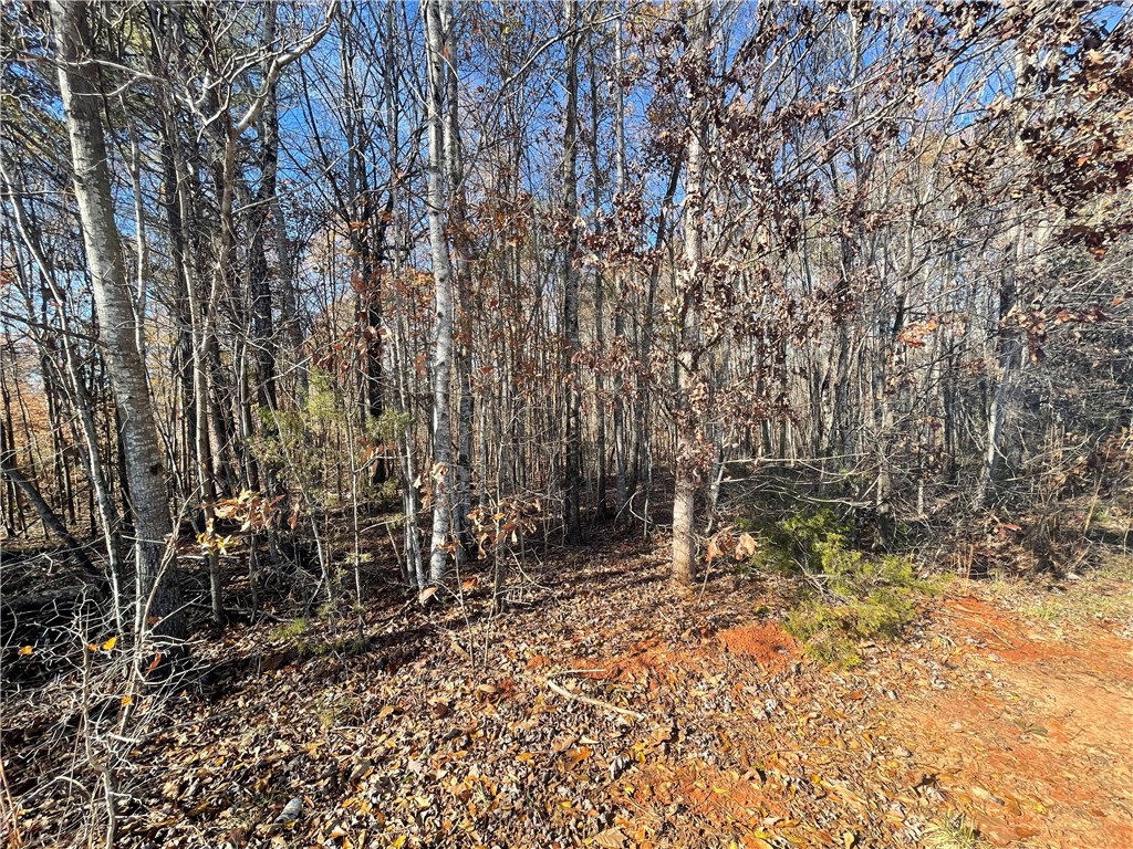 3-4 Keowee School Road Seneca, SC 29672 - Photo 5 of 39 Gallery Image 5