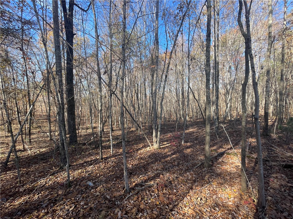 3-4 Keowee School Road Seneca, SC 29672 - Photo 6 of 39 Gallery Image 6