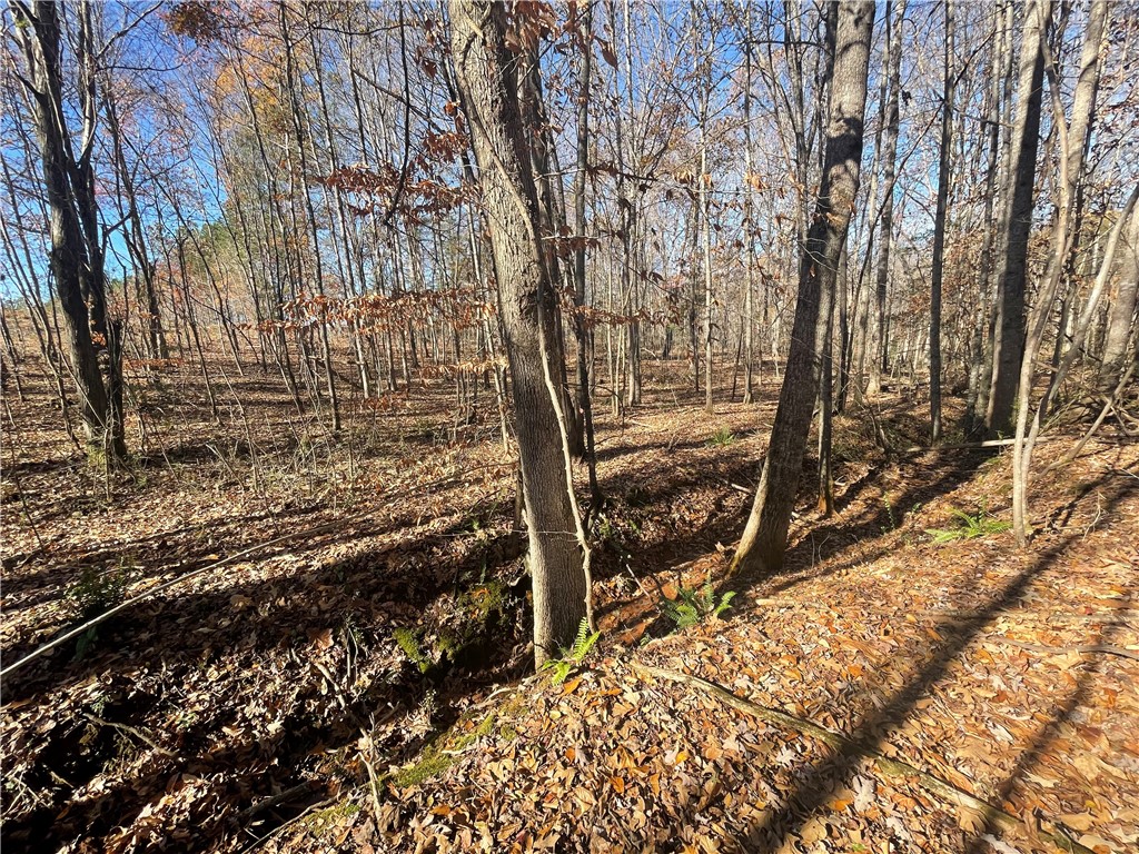 3-4 Keowee School Road Seneca, SC 29672 - Photo 9 of 39 Gallery Image 9