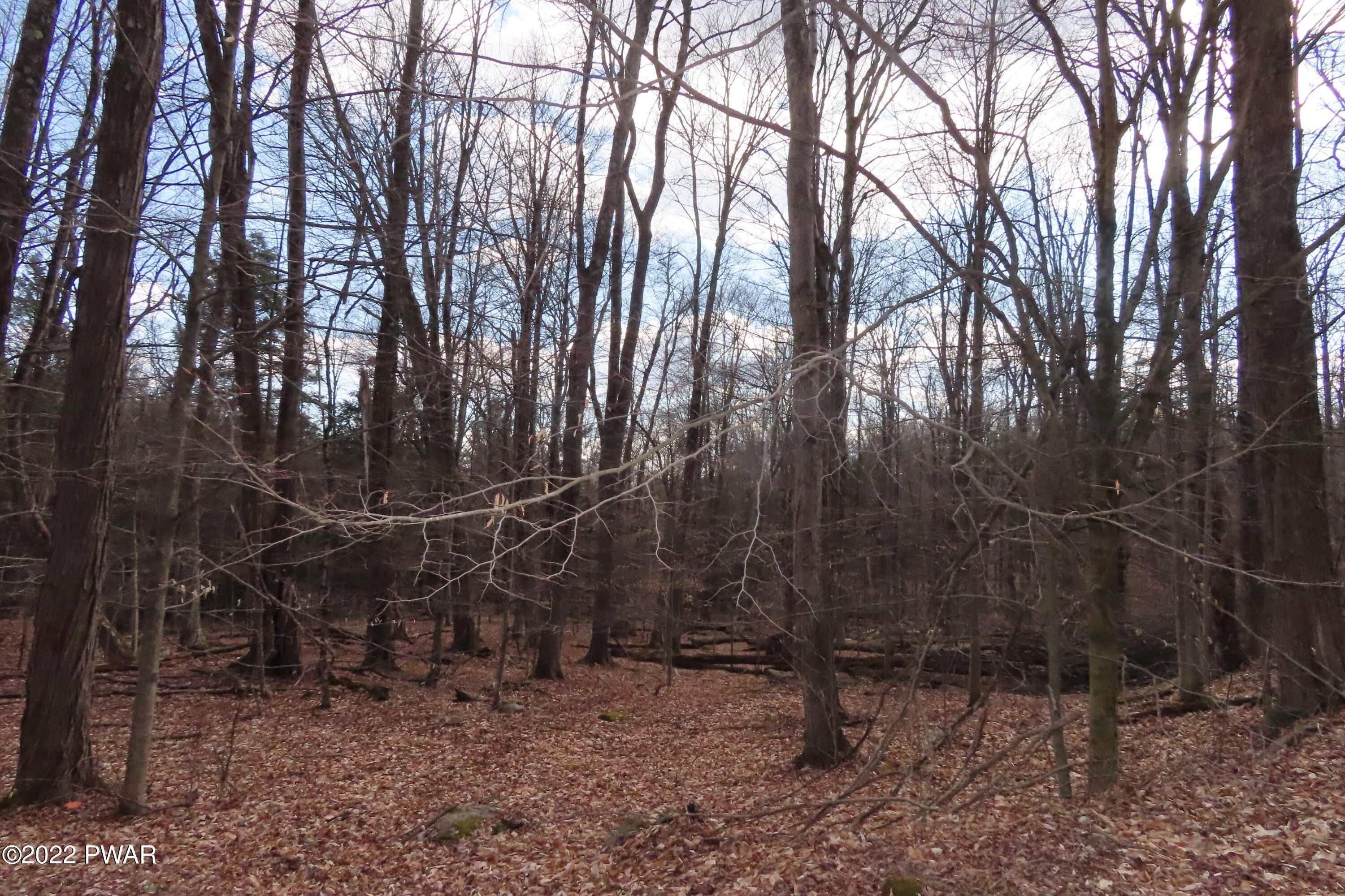 Lot 201 Sawmill Road Greentown, PA 18426 - Photo 11 of 15 IMG_0278