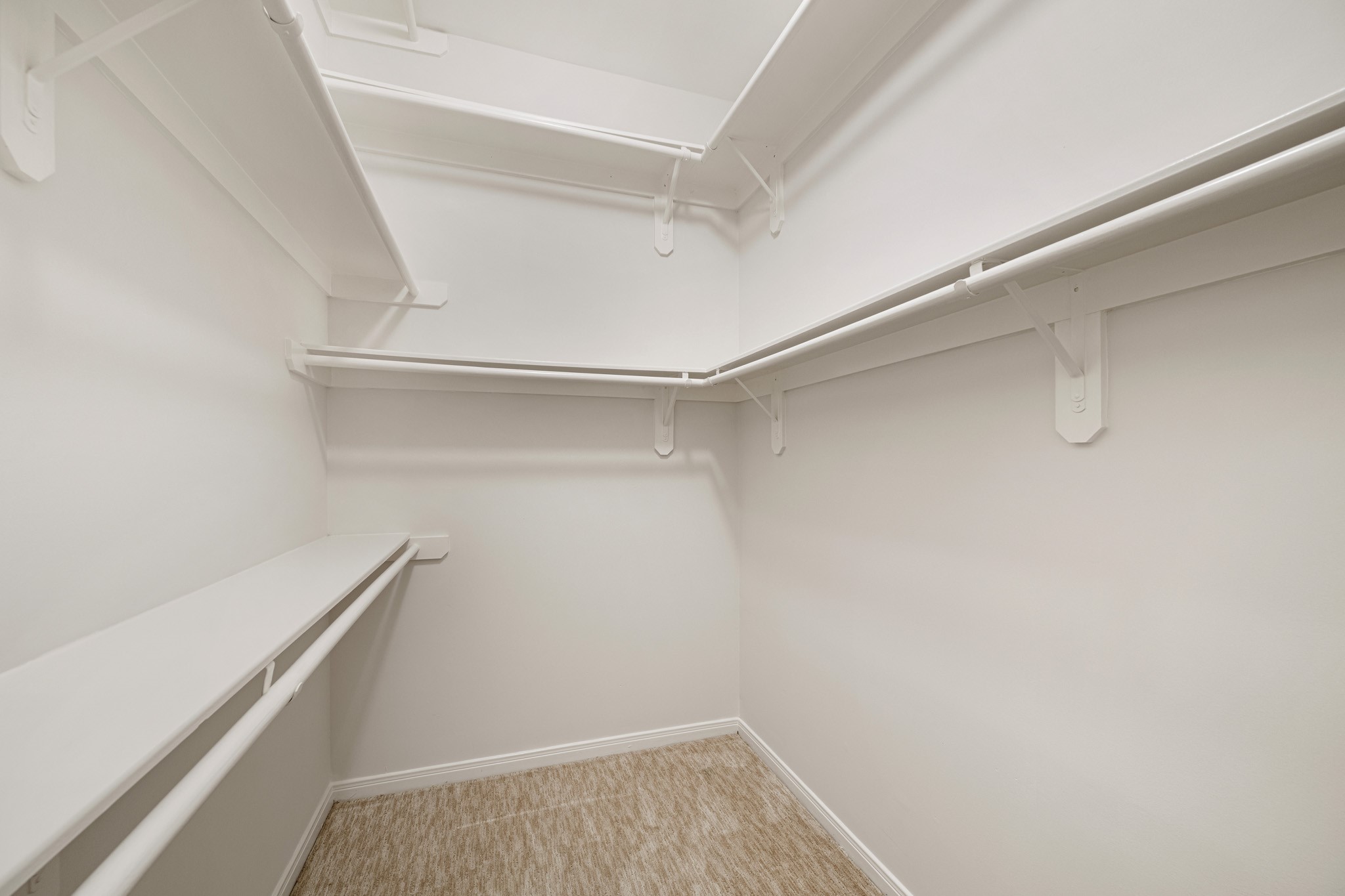 1727 Hadley Street Houston, TX 77003 - Photo 25 of 38 Primary walk-in closet with extra storage shelving.