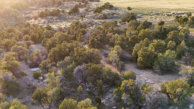 123 Tbd Forest Service Rd 640a (s Salina, UT 84654 - Photo 39 of 69 Drone / aerial view