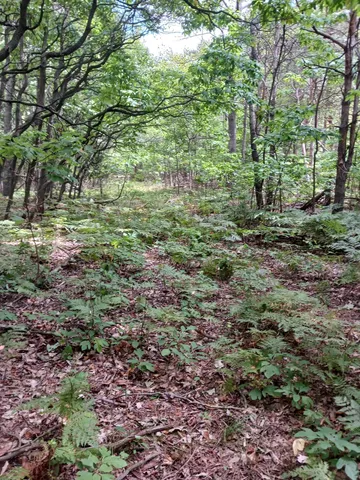 $499,000 | 12323 Lincoln Farms Drive, West Olive, MI 49460